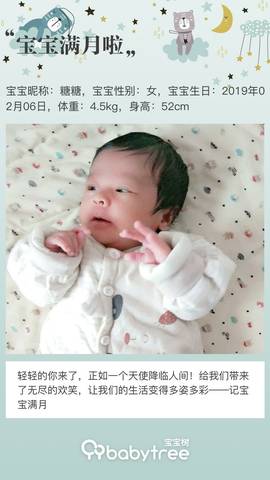 journal_insert_pic_1193181385