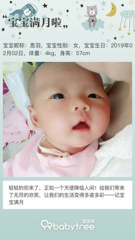 journal_insert_pic_1193832541