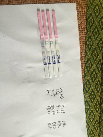 journal_insert_pic_1193913194