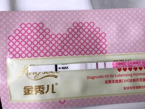 journal_insert_pic_1193975615