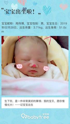journal_insert_pic_1194392217