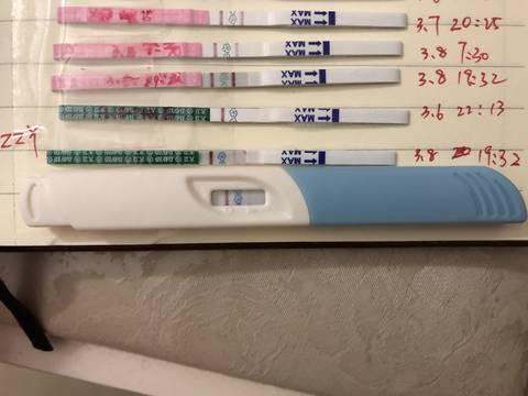 journal_insert_pic_1195012575
