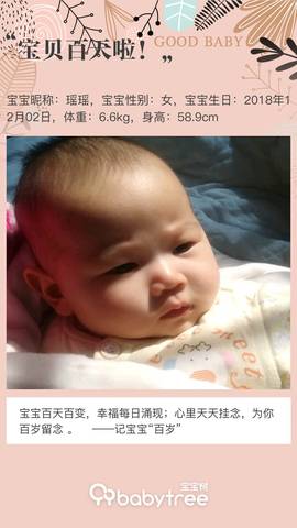 journal_insert_pic_1195047074