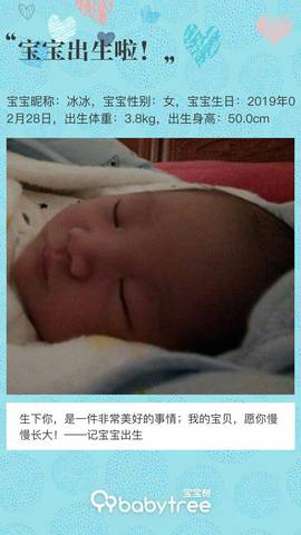 journal_insert_pic_1195536206