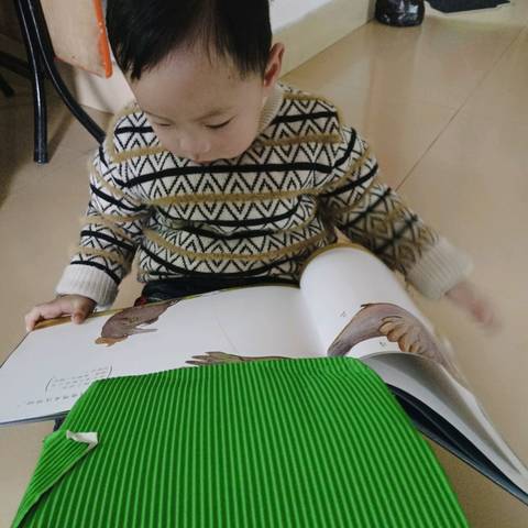 journal_insert_pic_1195986342