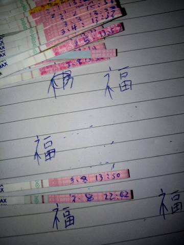 journal_insert_pic_1196032316