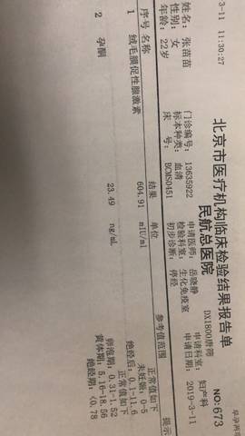 journal_insert_pic_1196704003