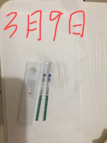 journal_insert_pic_1198999391