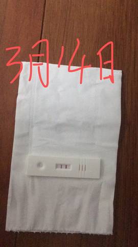 journal_insert_pic_1198999399