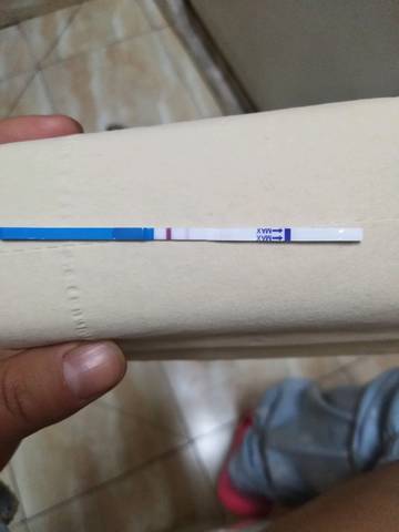 journal_insert_pic_1199104390