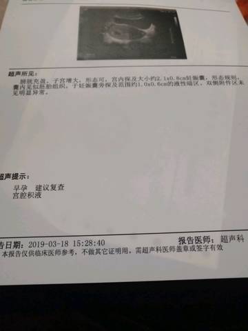 journal_insert_pic_1200567460