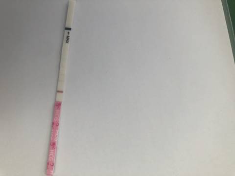 journal_insert_pic_1201079004