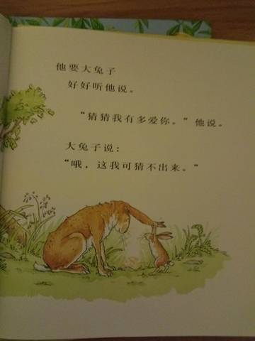 journal_insert_pic_1201164216