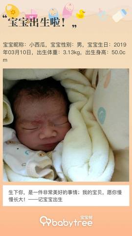 journal_insert_pic_1200883823