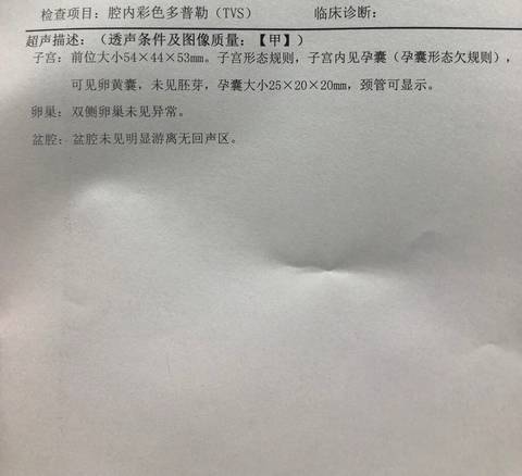 journal_insert_pic_1200985235