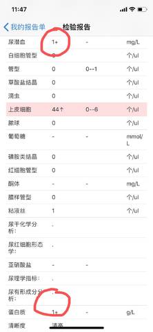 journal_insert_pic_1201431864