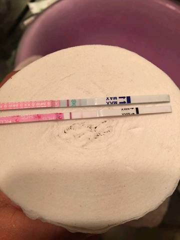journal_insert_pic_1201770526
