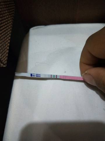 journal_insert_pic_1201464394