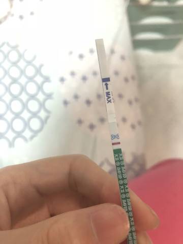 journal_insert_pic_1201939382