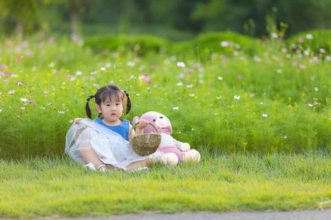journal_insert_pic_1201809519