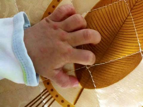 journal_insert_pic_1202567127