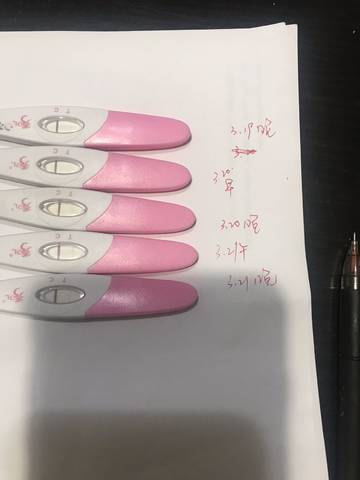 journal_insert_pic_1202672899