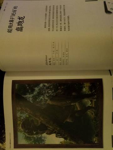 journal_insert_pic_1202517492