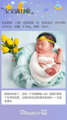 journal_insert_pic_1203069302