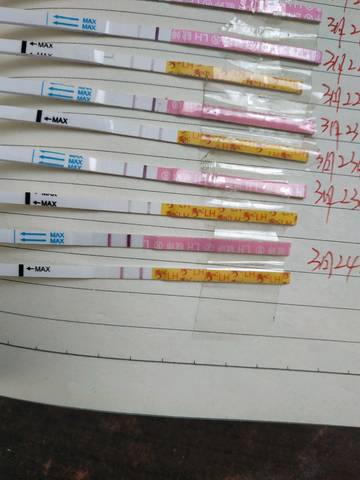 journal_insert_pic_1203755773