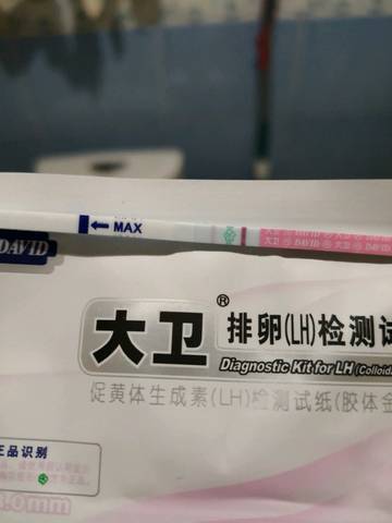 journal_insert_pic_1203919126