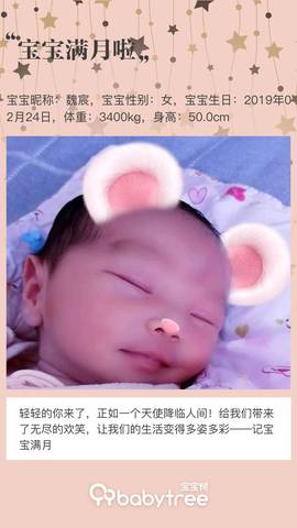 journal_insert_pic_1203674624