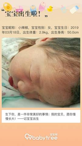 journal_insert_pic_1204265622