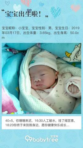 journal_insert_pic_1204362507