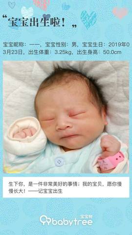 journal_insert_pic_1204787824
