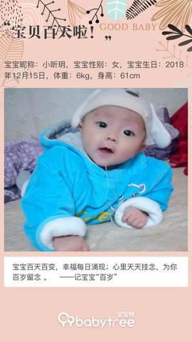 journal_insert_pic_1205724308