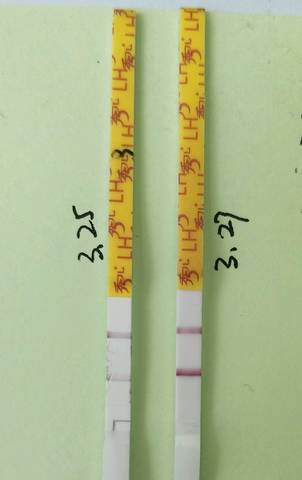 journal_insert_pic_1205425520