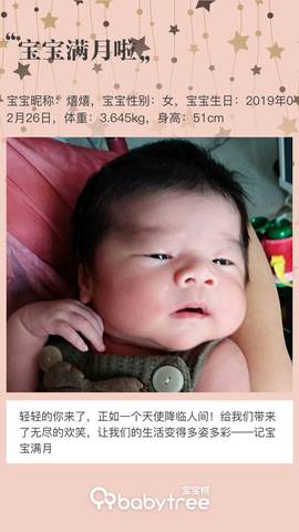 journal_insert_pic_1205807327