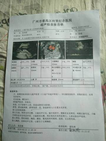 journal_insert_pic_1206035616