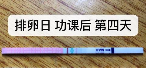 journal_insert_pic_1206071908