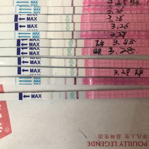 journal_insert_pic_1206744875