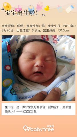 journal_insert_pic_1206812604