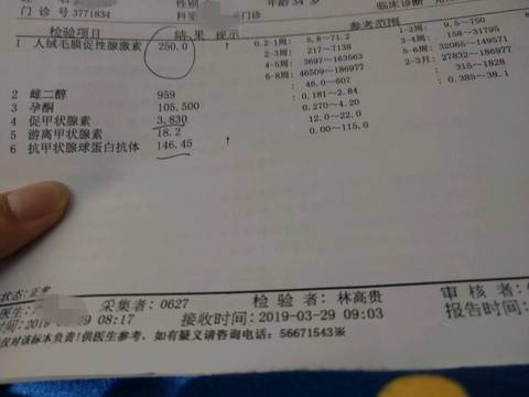 journal_insert_pic_1206891726