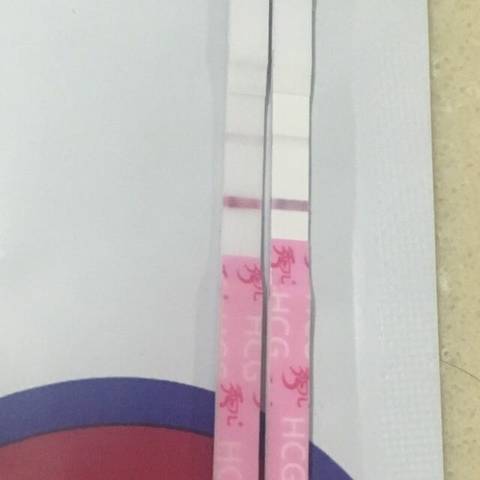 journal_insert_pic_1206455292