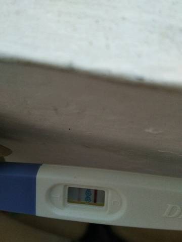 journal_insert_pic_1206526291