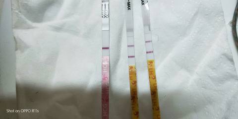 journal_insert_pic_1207272205