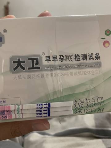 journal_insert_pic_1207382370