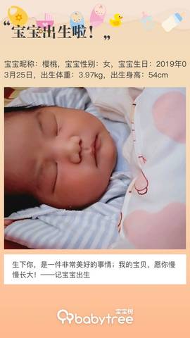 journal_insert_pic_1207286388