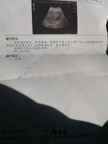 journal_insert_pic_1207773442