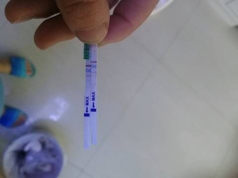 journal_insert_pic_1208166835