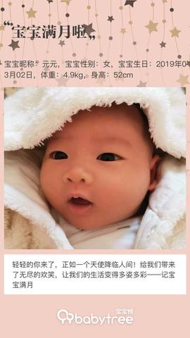 journal_insert_pic_1208852423